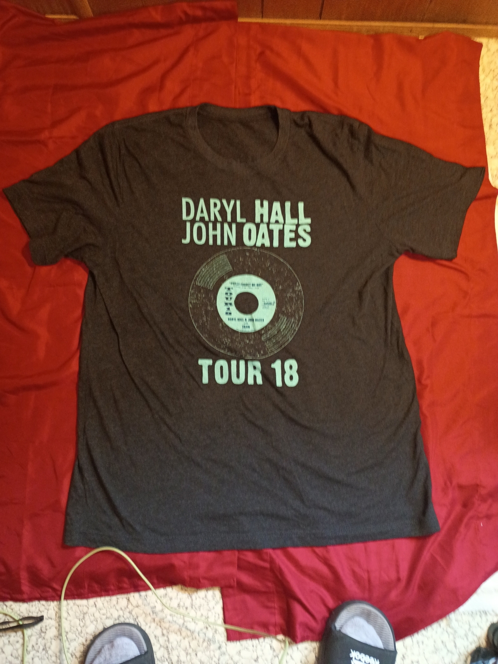 Daryl Hall & John Oates Tour 18 Graphic T-Shirt - Dark Gray with Teal Print